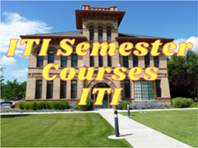 ITI Semester Courses